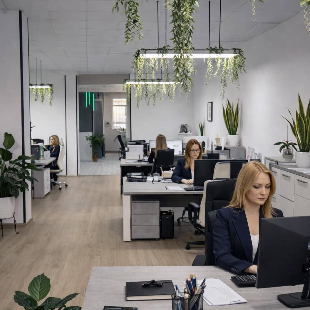 Biroul Evolution Tax Finance – contabilitate și consultanță financiară